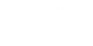 magellan-logo-white