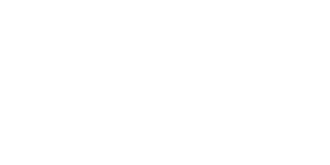 valueoptions-logo-white